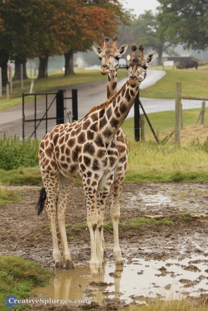 1/640sec, f/4.5, ISO 250, 90mm