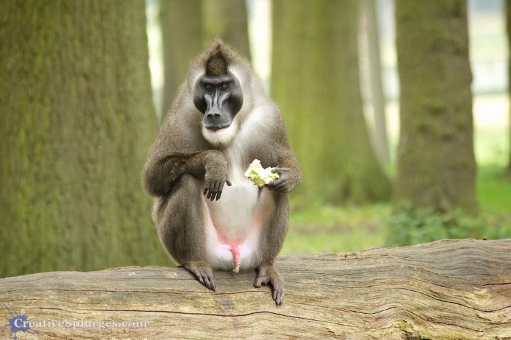 1/60, f/5, ISO 640, 210mm