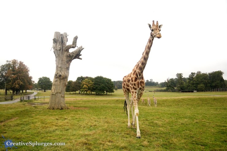 1/1600sec, f/4.5, ISO 800, 18mm