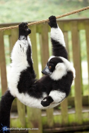 1/125sec, f/4, ISO 1600, 70mm