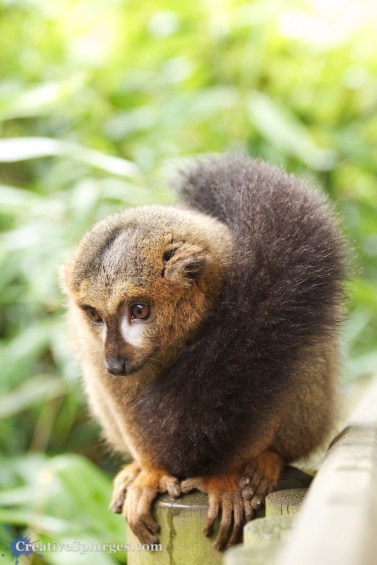 1/125sec, f/4, ISO 2500, 70mm