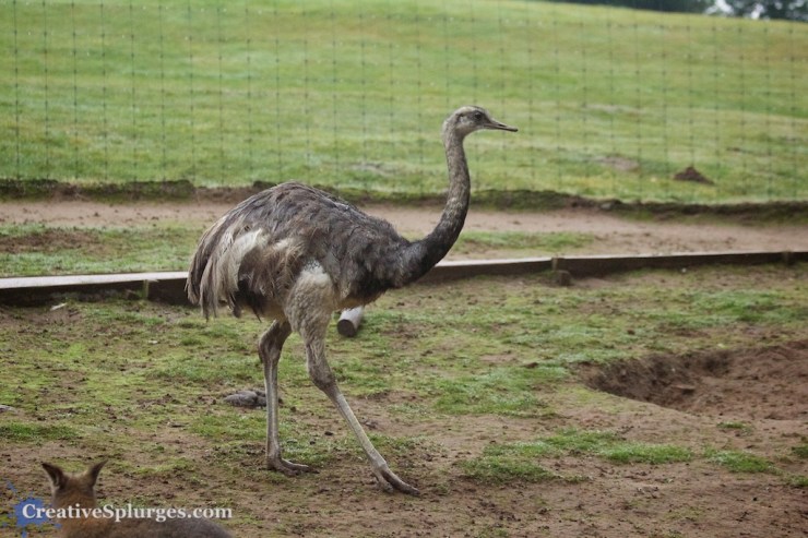 1/320sec, f/4, ISO 3200, 70mm