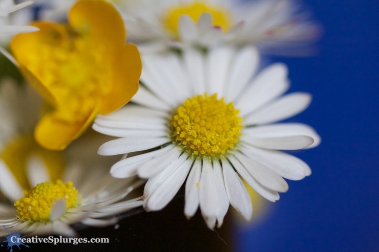 1/160, f/2.8, ISO 2000, 100mm