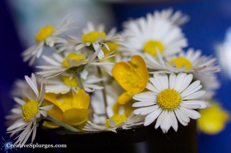 1/250, f/2.8, ISO 2000, 100mm