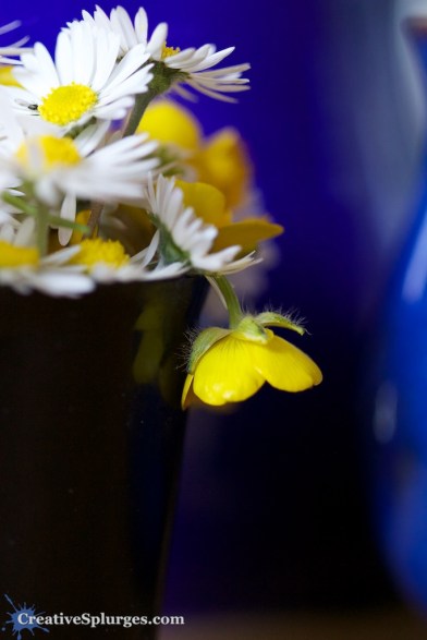 1/50, f/2.8, ISO 2000, 100mm