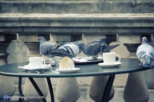 1/80, f/5, ISO 200, 180mm