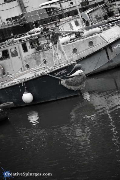 1/500sec, f/4, ISO 100, 105mm