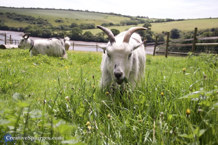 1/500sec, f/5, ISO 100, 24mm