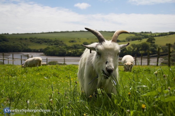 1/1600sec, f/5, ISO 100, 26mm