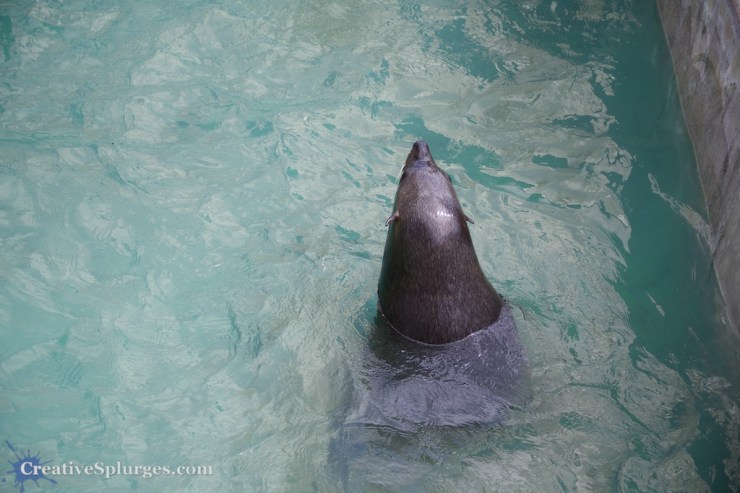 1/320sec, f/5, ISO 100, 60mm