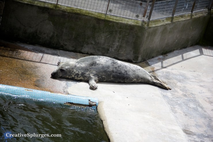 1/1000sec, f/5.6, ISO 100, 72mm