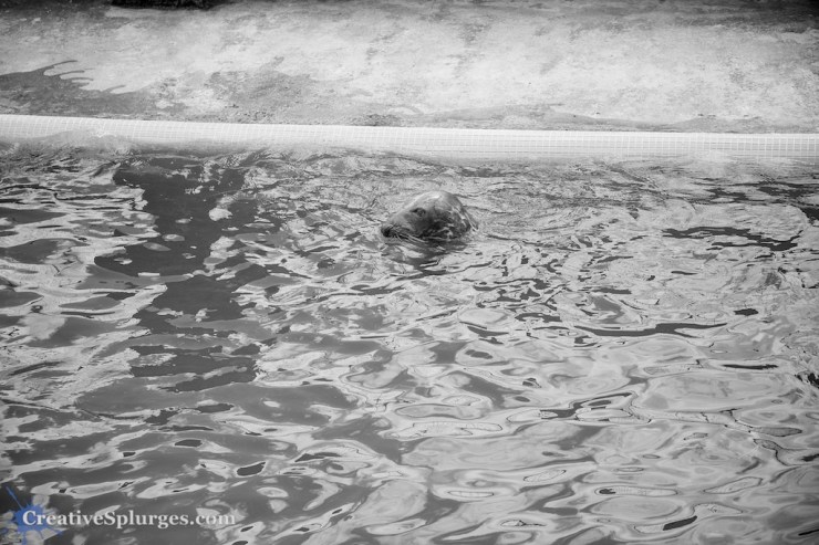 1/500sec, f/5, ISO 100, 57mm