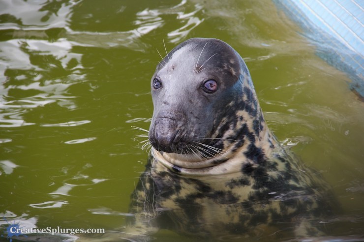 1/160sec, f/5.6, ISO 100, 135mm