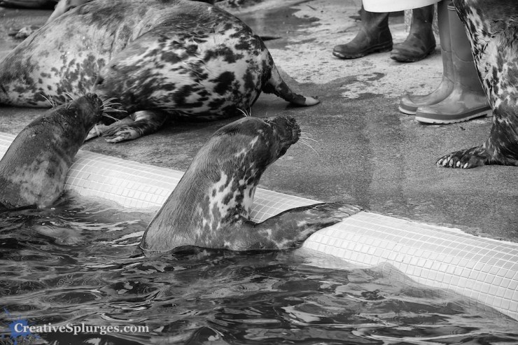 1/200sec, f/5.6, ISO 100, 120mm