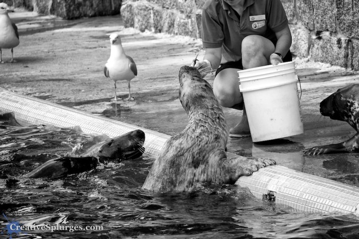 1/320sec, f/5.6, ISO 100, 135mm