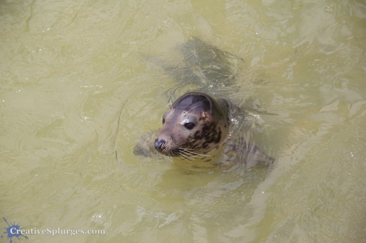 1/400sec, f/5.6, ISO 100, 69mm