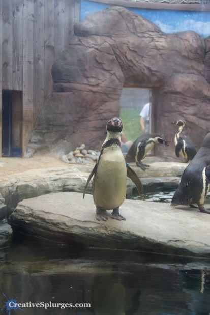 1/200sec, f/5, ISO 100, 42mm