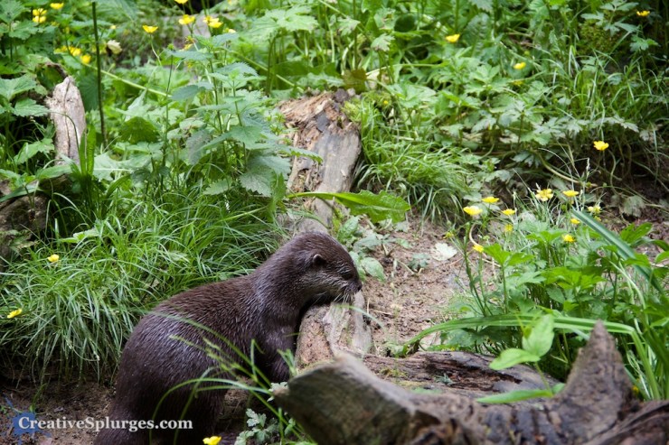 1/200sec, f/5.6, ISO 800, 79mm