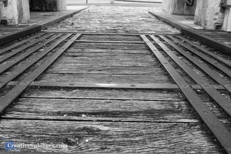 1/400sec, f/4, ISO 125, 24mm