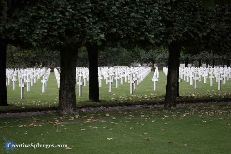 1/200sec, f/4, ISO 100, 58mm