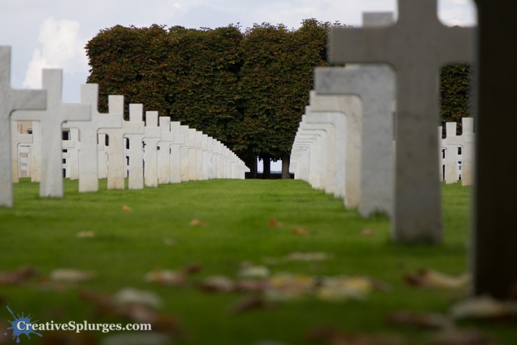 1/500sec, f/4, ISO 100, 105mm