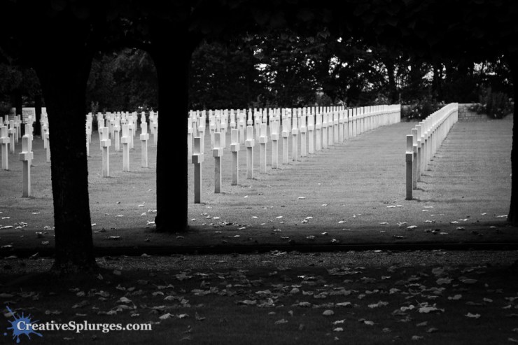 1/250sec, f/4, ISO 100, 73mm