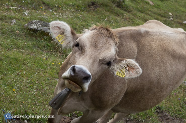 1/60sec, f/11, ISO 100, 67mm