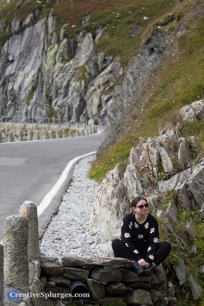 1/1250sec, f/4, ISO 100, 105mm