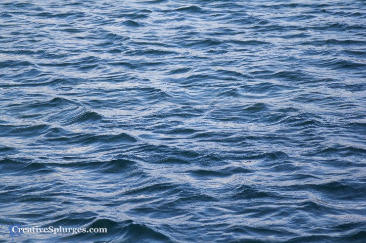 1/500sec, f/4, ISO 100, 105mm