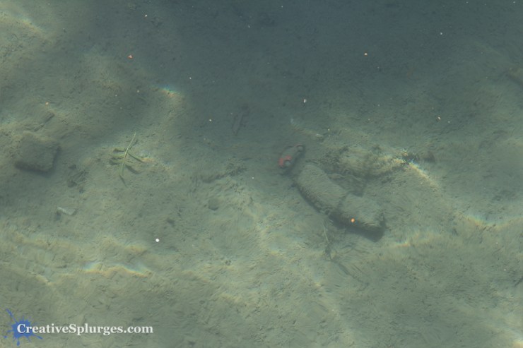 1/50sec, f/11, ISO 100, 105mm