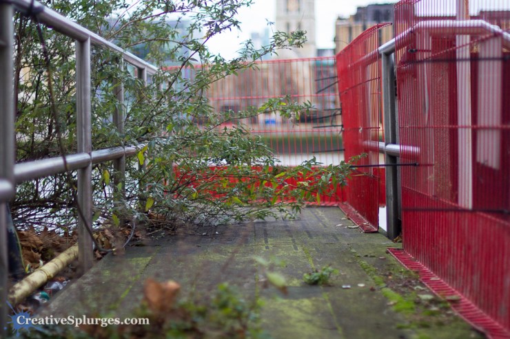 1/640sec, f/1.4, ISO 320, 50mm