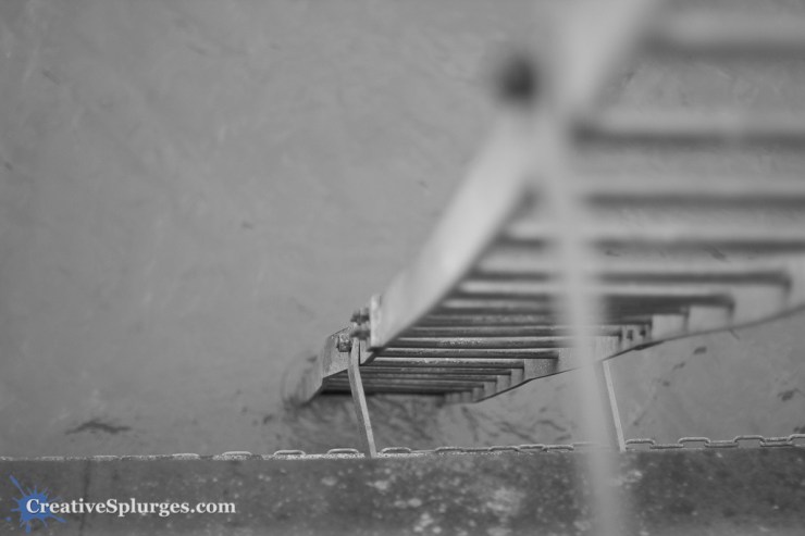 1/800sec, f/1.4, ISO 320, 50mm