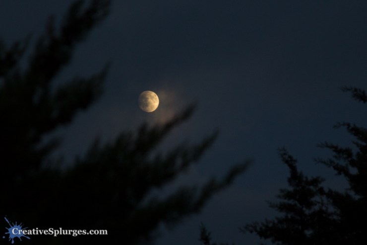 1/20sec, f/4, ISO 800, 105mm