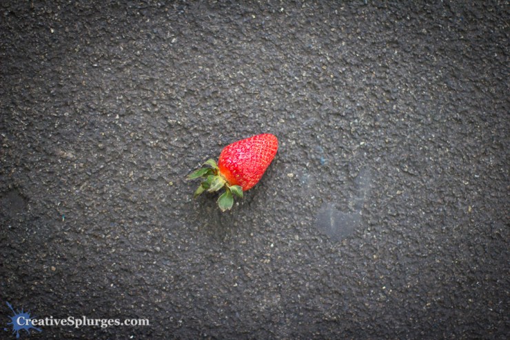 1/500sec, f/1.4, ISO 1000, 50mm