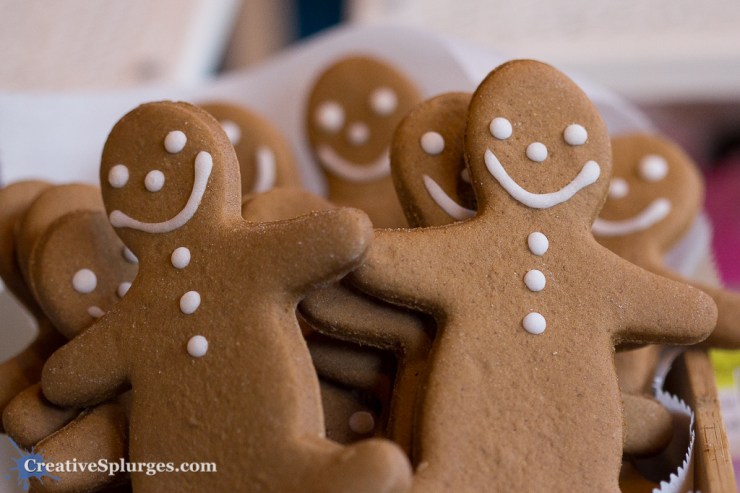 1/400sec, f/2.8, ISO 1000, 100mm