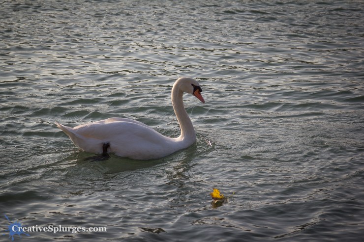 1/1600sec, f/4, ISO 100, 105mm