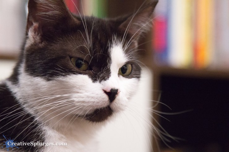 1/60sec, f/4, ISO 3200, 92mm