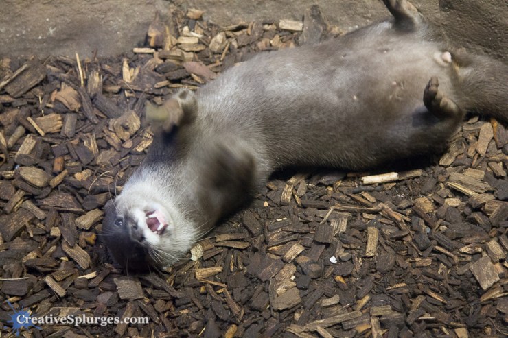 1/25sec, f/4, ISO 4000, 73mm