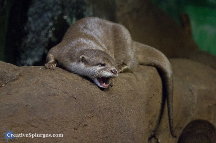 1/160sec, f/4, ISO 4000, 75mm