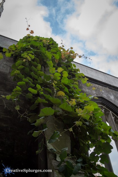 1/320sec, f/4, ISO 250, 24mm