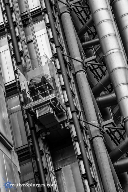 1/640sec, f/4, ISO 200, 105mm