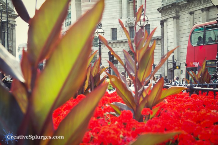 1/80sec, f/4, ISO 160, 47mm