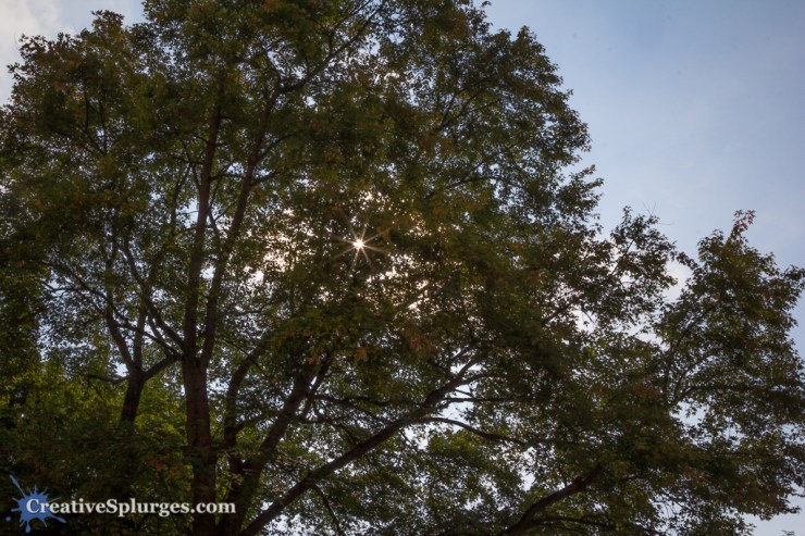 1/80, f/22, ISO 100, 24mm