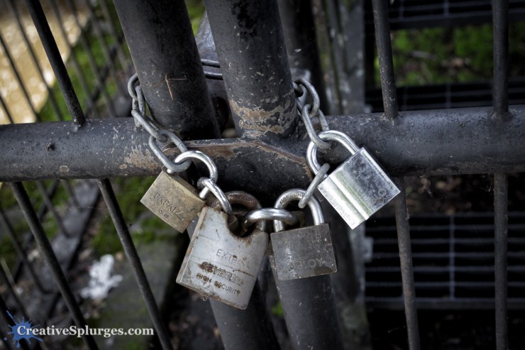 1/50, f/4, ISO 100, 40mm