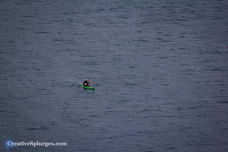 1/400, f/6.3, ISO 100, 300mm