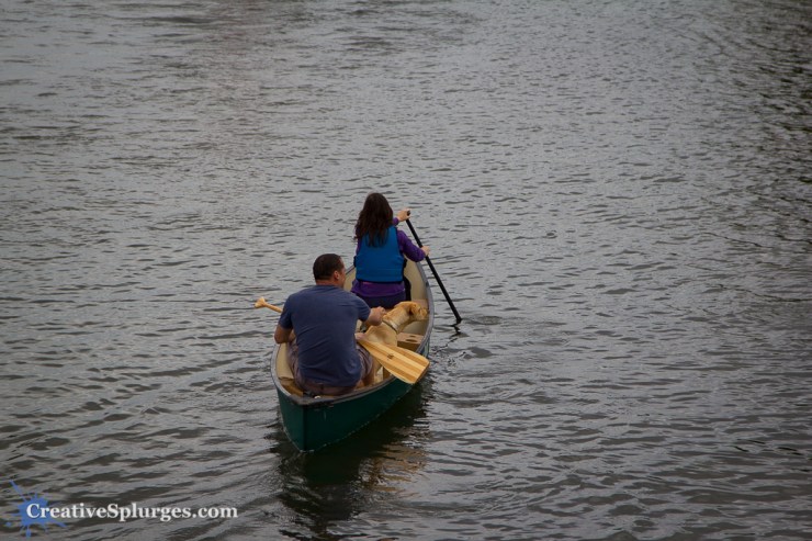 1/1000, f/4, ISO 100, 88mm