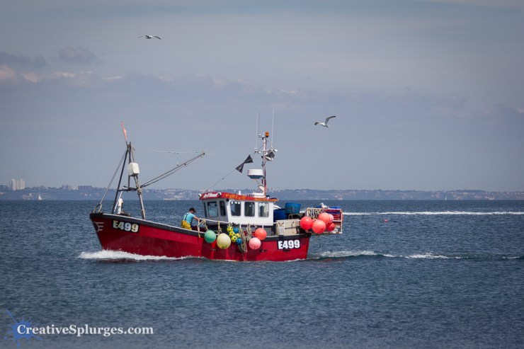 1/1250, f/4.5, ISO 100, 115mm