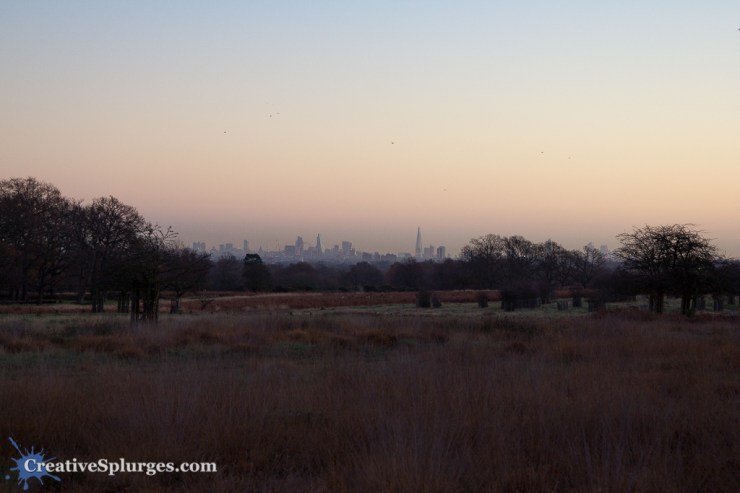 1/60, f/4, ISO 250, 55mm