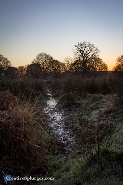 1/80, f/8, ISO 250, 24mm
