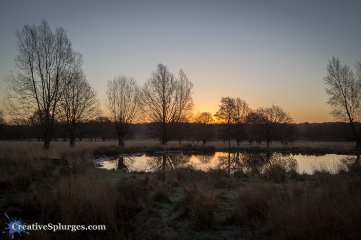 1/125, f/8, ISO 250, 24mm